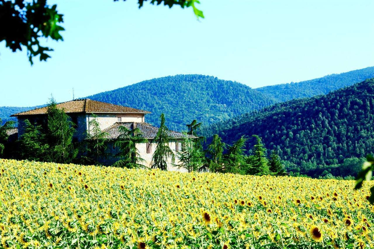 Agriturismo Montioni โซวิชิลเล ภายนอก รูปภาพ